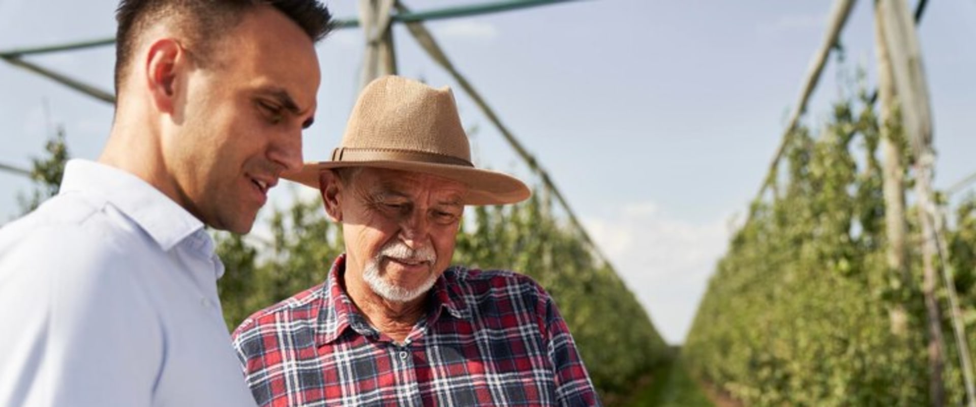 Effective Marketing Strategies for Selling Farm Products