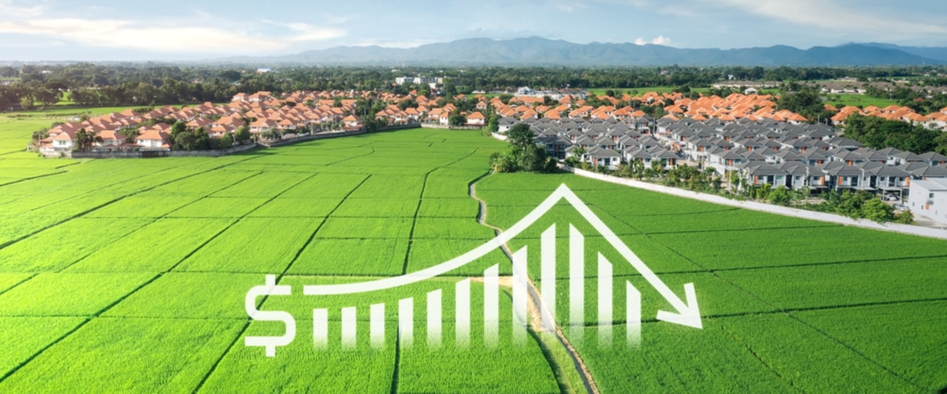 Effective Strategies for Cost Reduction in Farm Management