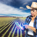 Effective Risk Management Techniques for Modern Farms