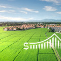 Effective Strategies for Cost Reduction in Farm Management