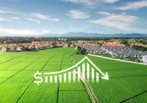 Effective Strategies for Cost Reduction in Farm Management